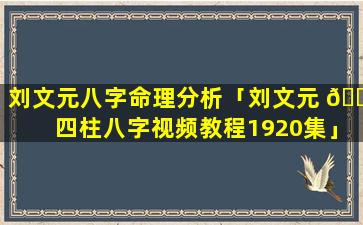 刘文元八字命理分析「刘文元 🐋 四柱八字视频教程1920集」